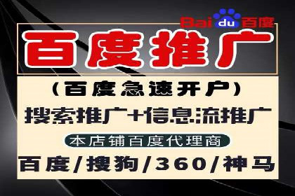 行业领先企业的SEM优化之路